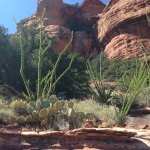 4-boynton canyon 2014